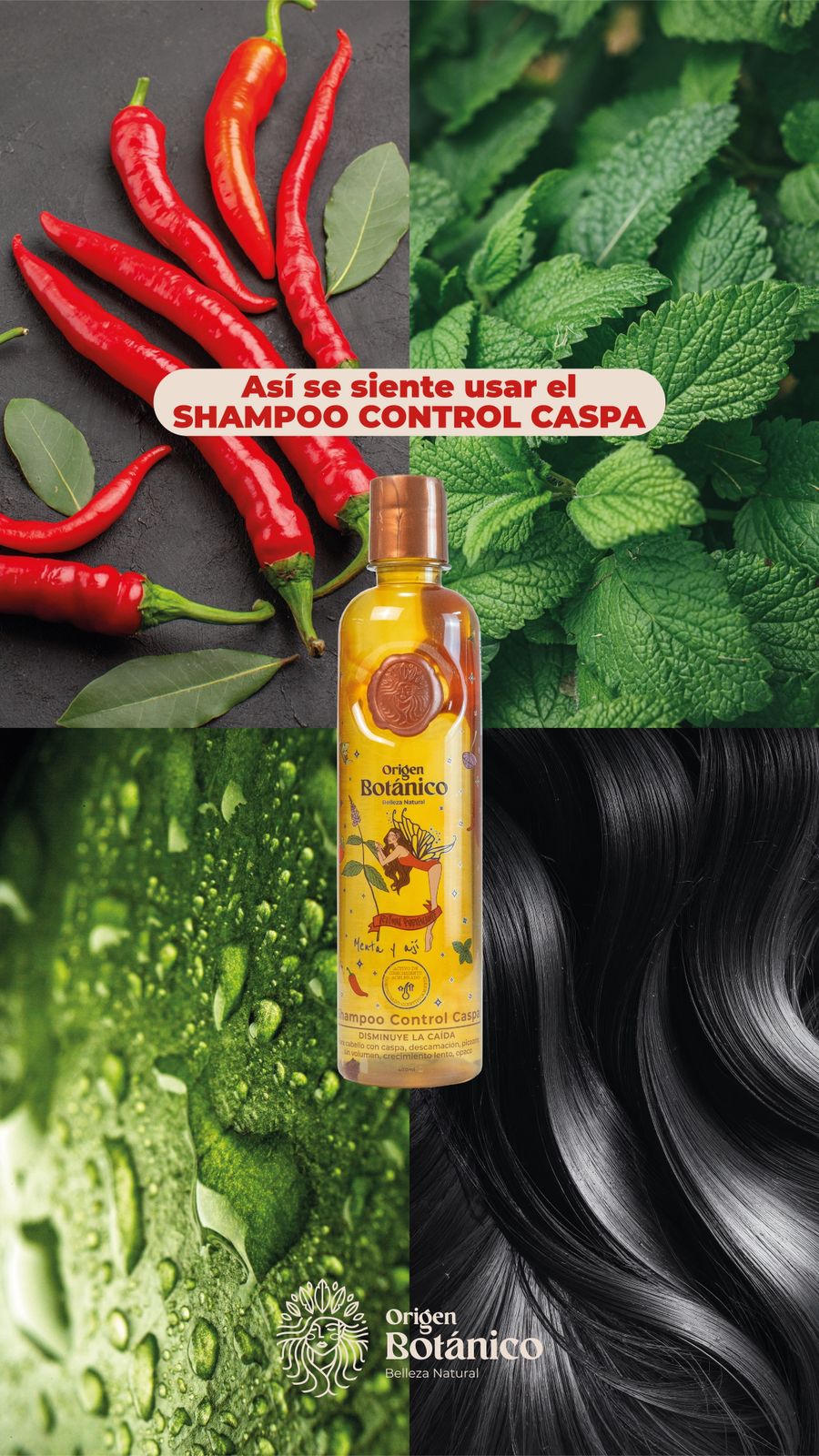 Shampoo control caspa con menta y ají ritual botánico 400ml