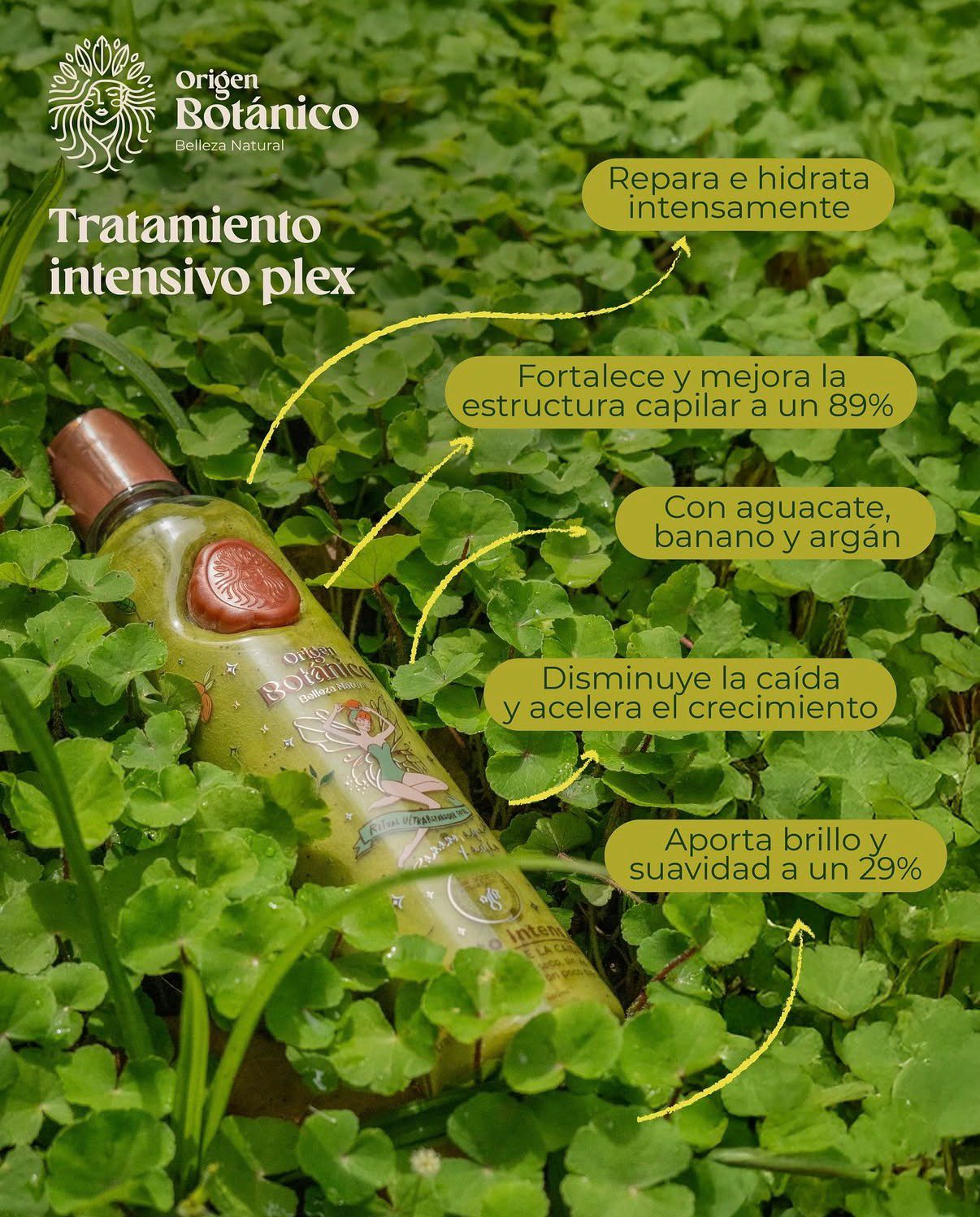 Tratamiento intensivo plex, ritual botanico